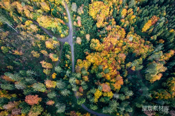 高清摄影 一条被树木环绕的道路的空中俯瞰图