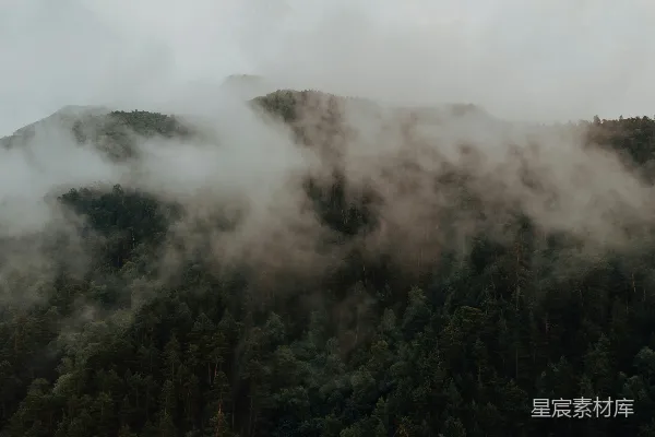 高清摄影 阴云密布的山间，树木笼罩在云雾之中。