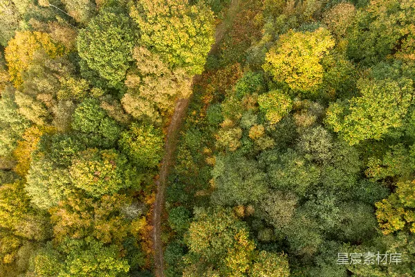 高清摄影 森林中间的公路俯瞰图