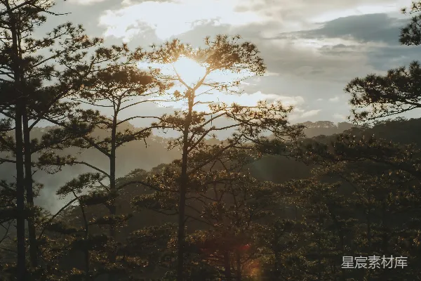 高清摄影 太阳透过云层照耀在树上。
