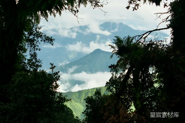 高清摄影 透过树木看山的景色