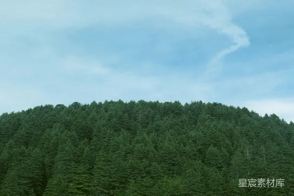 高清摄影 在多云的蓝天下的茂密常绿森林