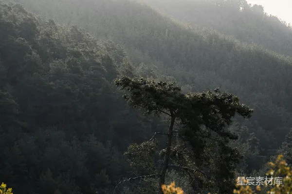 高清摄影 一座山的景色，背景中有树木和丘陵。