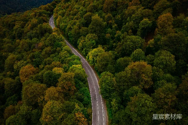 高清摄影 绿树丛中的道路俯瞰图