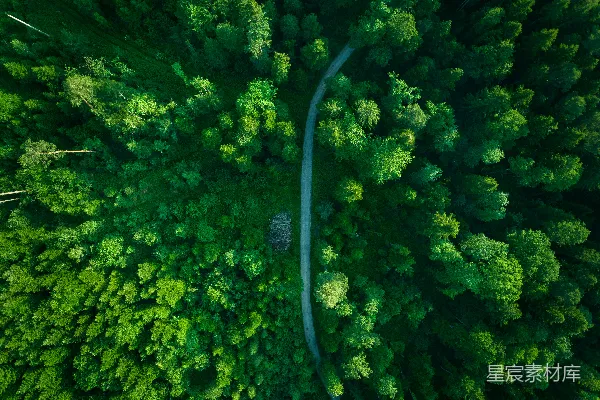 高清摄影 一条蜿蜒穿过森林的河流