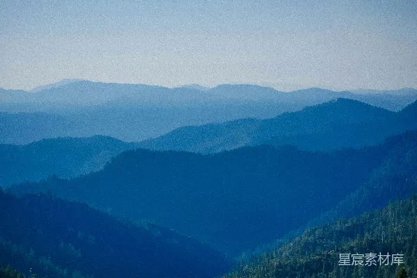 高清摄影 白天山上的绿树