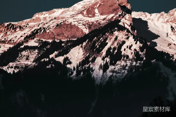 高清摄影 一座覆盖着积雪的山，山上长着树木。