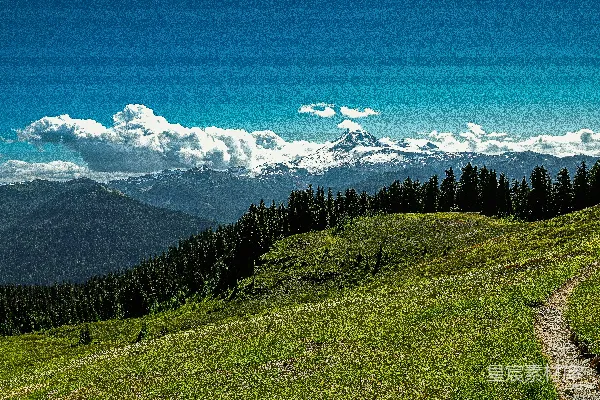 高清摄影 白天蓝天下，绿色的草地上生长着绿树，远处覆盖着积雪的山脉。