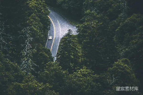 高清摄影 绿色树木靠近道路的航拍照片