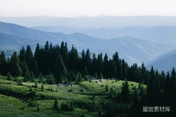 高清摄影 在白天，绿草地上有绿色的松树。