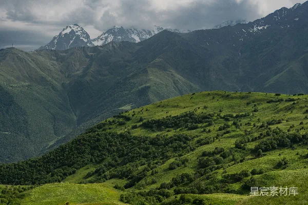高清摄影 郁郁葱葱的山坡，背景是连绵的群山。