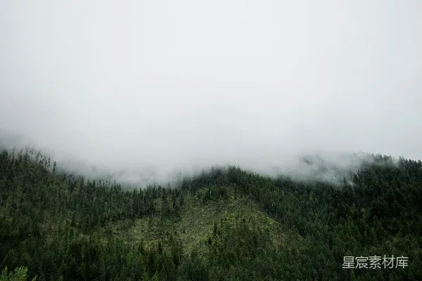 高清摄影 雾蒙蒙的山林航拍