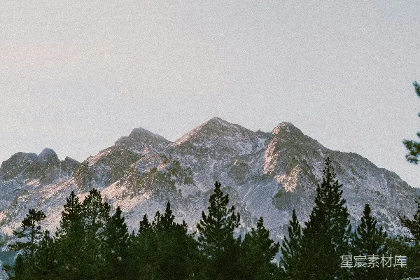 高清摄影 白天山边的绿树