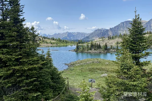 高清摄影 湖边树木环绕的风景如画的景象