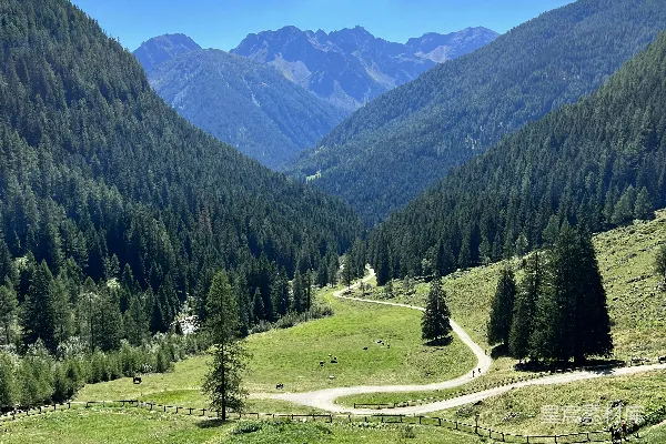 高清摄影 一幅带有树木和背景山脉的风景图
