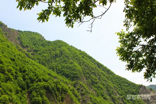 高清摄影 白天被草覆盖的山