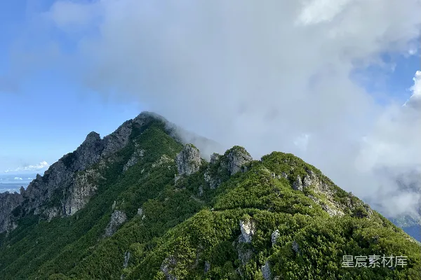 高清摄影 一座山上长着树