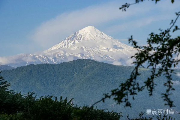 高清摄影 一座雪山上有树木
