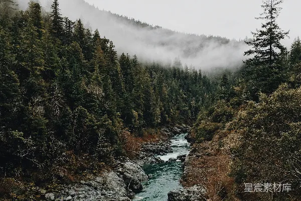 高清摄影 树木之间的河流