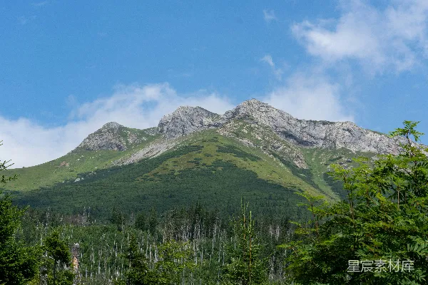 高清摄影 前景中有树木的山景