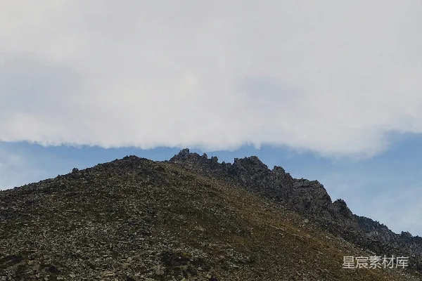 高清摄影 一只孤独的羊站在山坡的一侧。