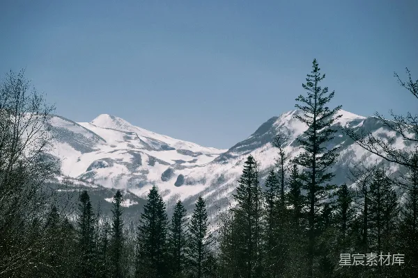 高清摄影 白雪覆盖的山峦矗立在森林之后。
