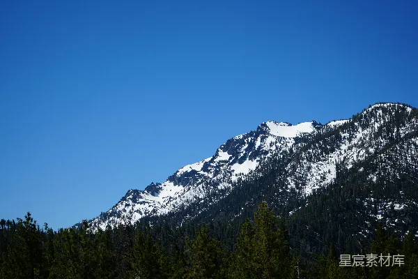 高清摄影 覆盖着雪的山峰，前景中有树木。