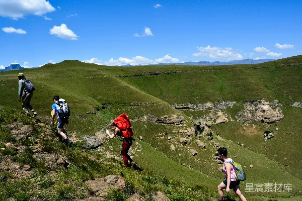 高清摄影 人们在白天的绿色草地上徒步旅行。
