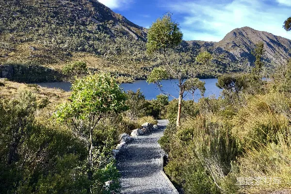 高清摄影 白天间绿色草地中间的灰色混凝土道路