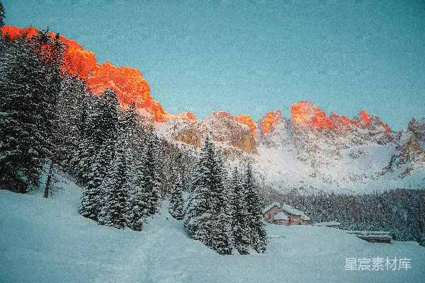 高清摄影 白天被雪覆盖的松树和山脉