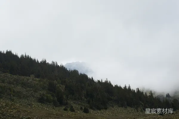 高清摄影 一座山丘，山丘的一侧长满了树木。