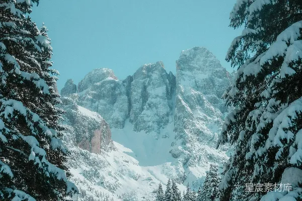 高清摄影 白天被雪覆盖的树木和山脉