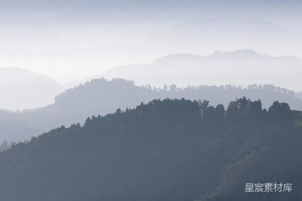 高清摄影 白天山上的绿树