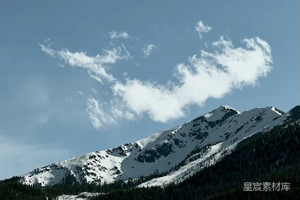 高清摄影 一座被雪覆盖的山，前景中有树木。