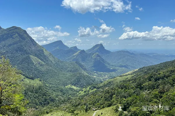 高清摄影 一片树木和山脉的风景