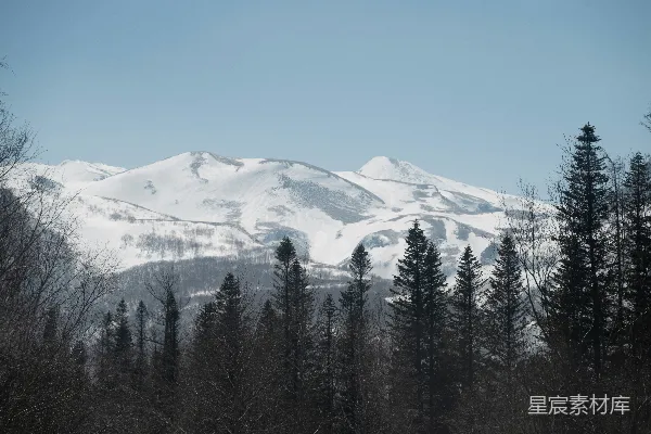 高清摄影 晴空下的雪山和常青树。