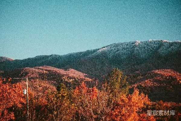 高清摄影 一幅积雪覆盖的山脉景色，前景中有树木。