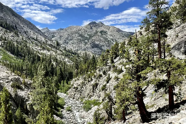 高清摄影 一幅山间谷地的景色，前景中有树木。
