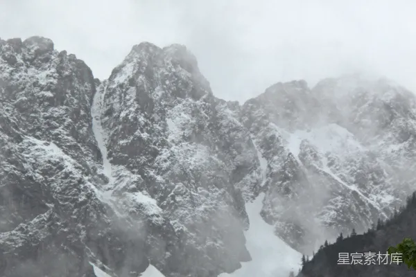 高清摄影 被雪覆盖的山脉，前景中有松树。