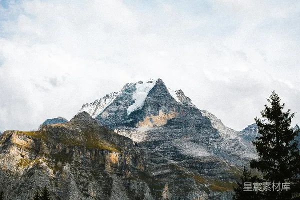 高清摄影 雪峰环绕松树