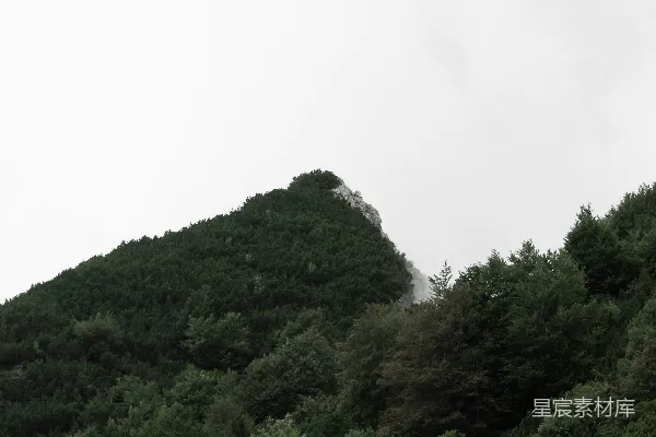高清摄影 山脚下的一群树木