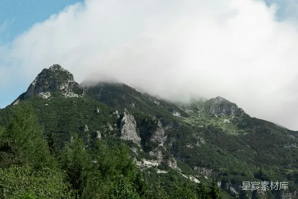 高清摄影 一座被云雾和树木覆盖的非常高的山