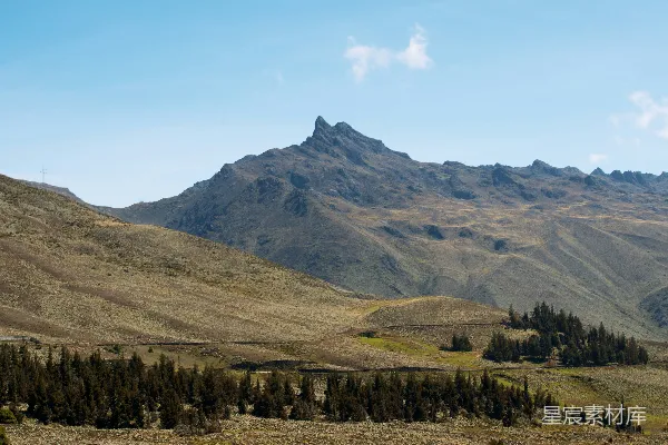 高清摄影 一座山脉的远景，前景中有树木。