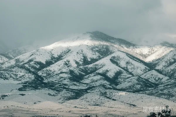 高清摄影 覆盖着积雪的山脉，前景中有树木。