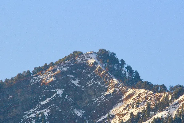 高清摄影 覆盖着雪的山峰，前景中有一些树木。