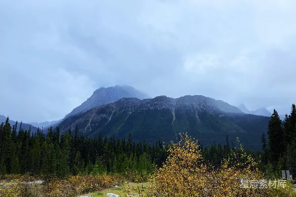 高清摄影 一幅山峦的风景，前景中有树木。