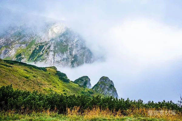 高清摄影 一个长满草的山坡，背景中有树木和山脉。