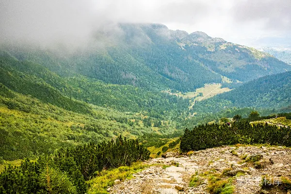 高清摄影 一个山谷，背景中有树木和山脉。