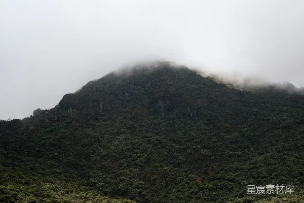 高清摄影 一座被雾气和云朵覆盖的高耸山峰。