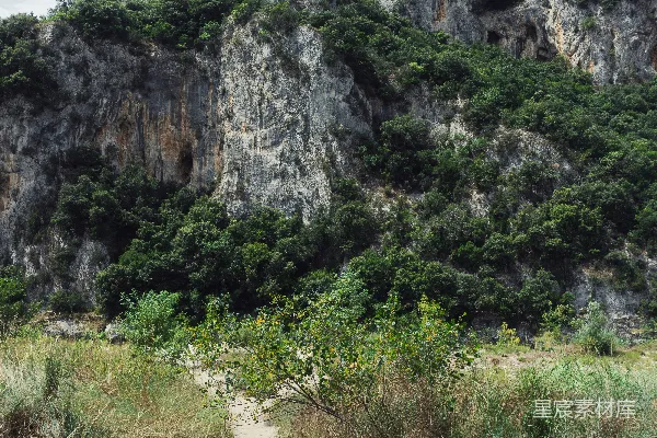 高清摄影 白天的绿色草地和灰色岩石山